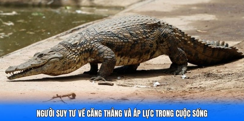 Mo Thay Ca Sau 1