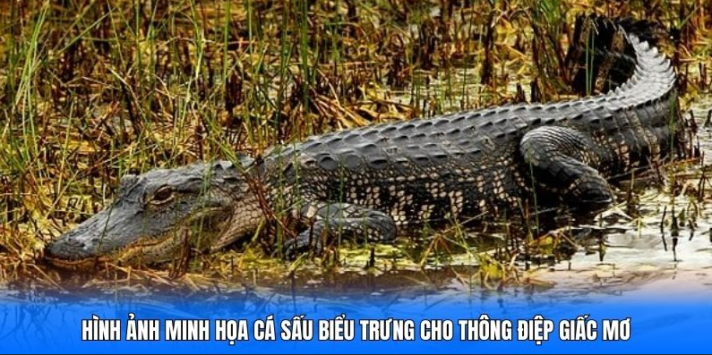 Mo Thay Ca Sau