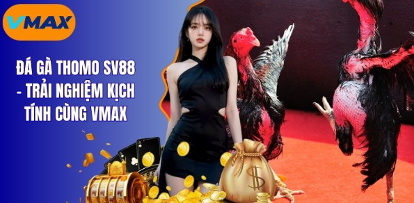 Đá Gà Trực Tiếp Thomo Hấp Dẫn Nhất Hiện Nay