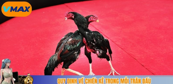 quy định về chiến kê trong mỗi trận đấu