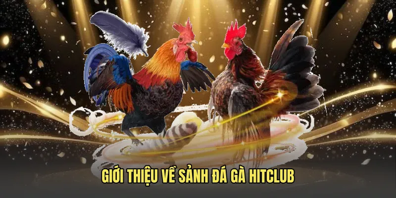 gioi thieu ve sanh da ga hitclub