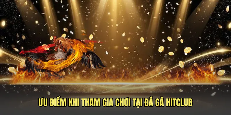 uu diem khi tham gia choi tai da ga hitclub